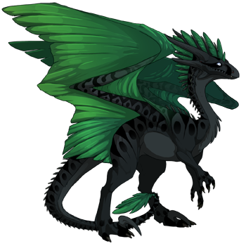 Unnamed dragon