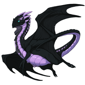 Unnamed dragon