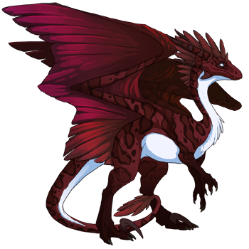 Unnamed dragon