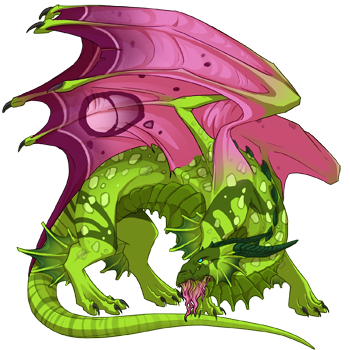 Unnamed dragon