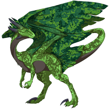 Unnamed dragon