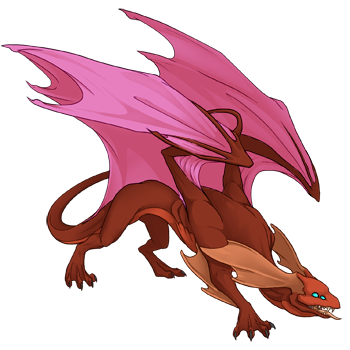 Unnamed dragon