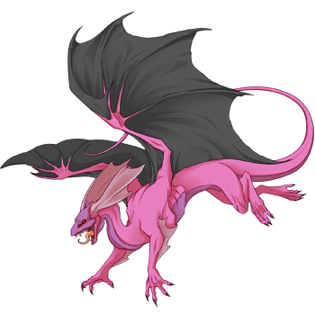 Unnamed dragon