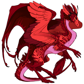 Unnamed dragon