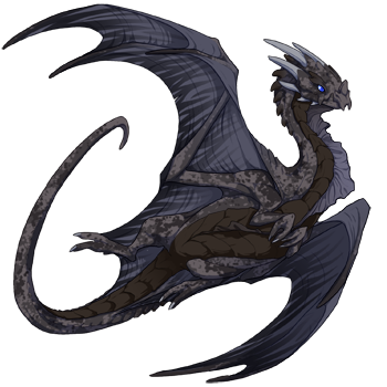 Unnamed dragon