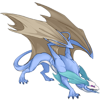 Unnamed dragon