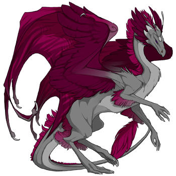 Unnamed dragon