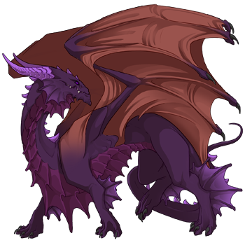 Unnamed dragon