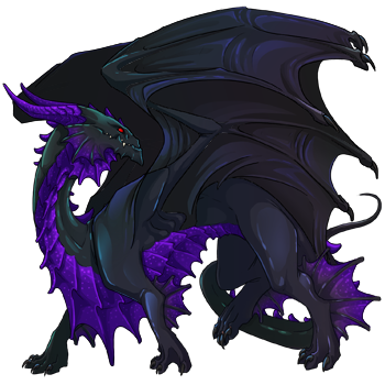 Unnamed dragon