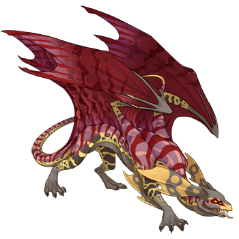 Unnamed dragon