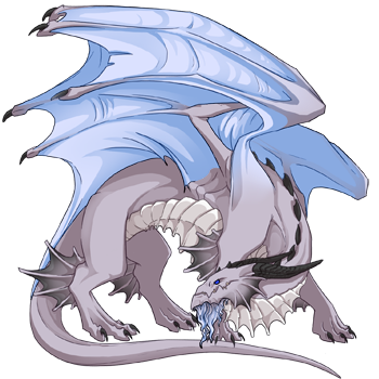 Unnamed dragon