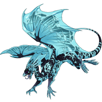 Unnamed dragon