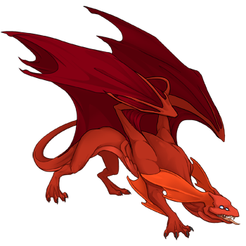 Unnamed dragon