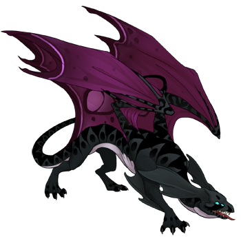 Unnamed dragon