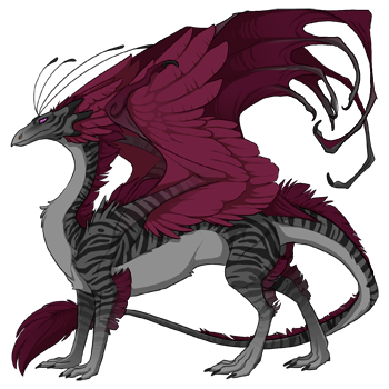 Unnamed dragon