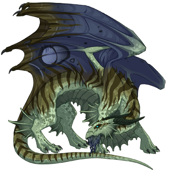 Unnamed dragon