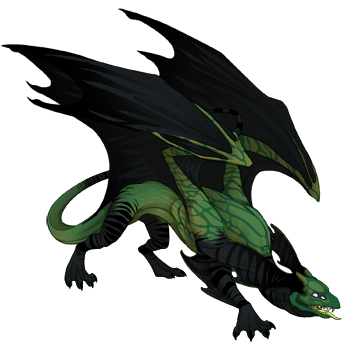 Unnamed dragon