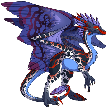 Unnamed dragon