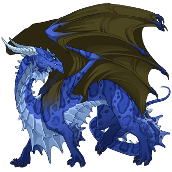 Unnamed dragon