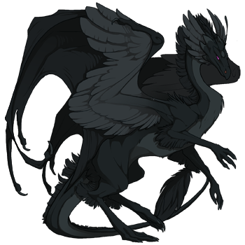 Unnamed dragon