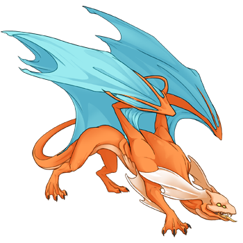 Unnamed dragon