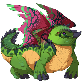 Unnamed dragon