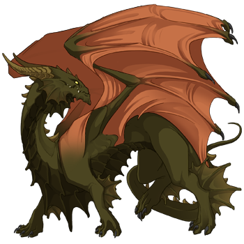 Unnamed dragon