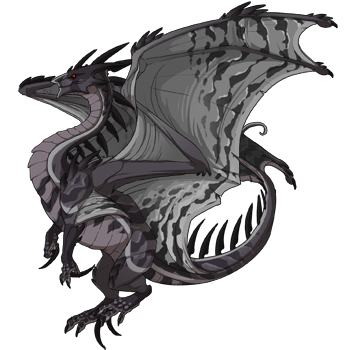 Unnamed dragon