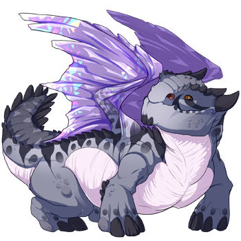 Unnamed dragon