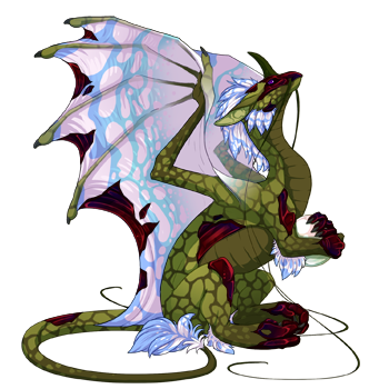 Unnamed dragon