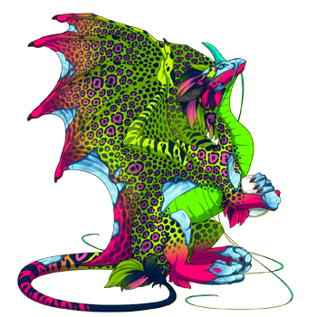 Unnamed dragon