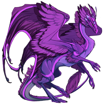 Unnamed dragon