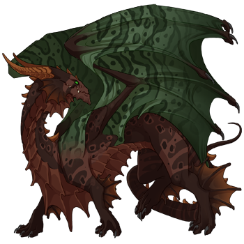 Unnamed dragon