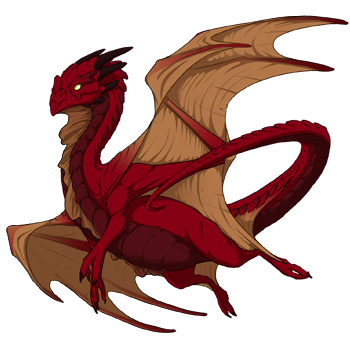 Unnamed dragon