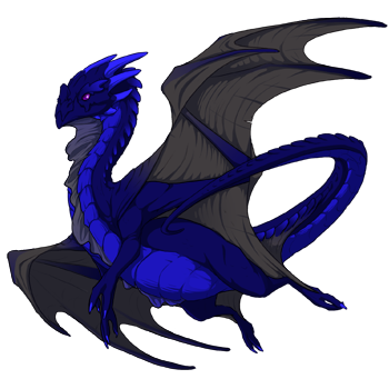 Unnamed dragon