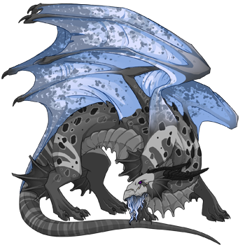 Unnamed dragon