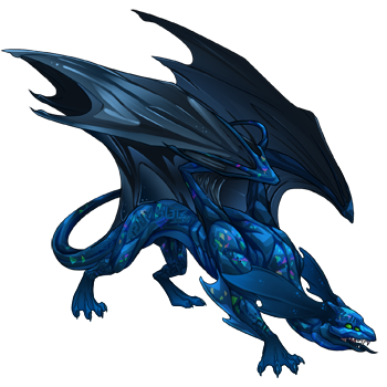 Unnamed dragon