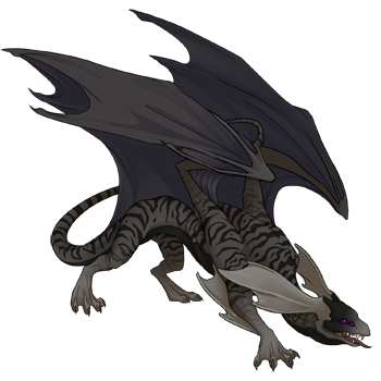 Unnamed dragon