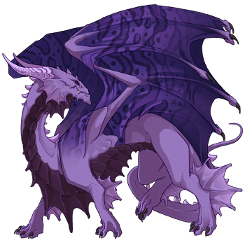 Unnamed dragon