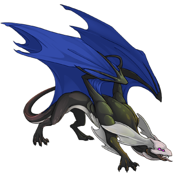 Unnamed dragon