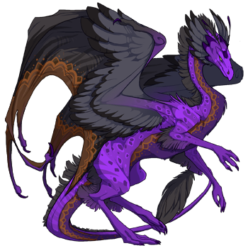 Unnamed dragon