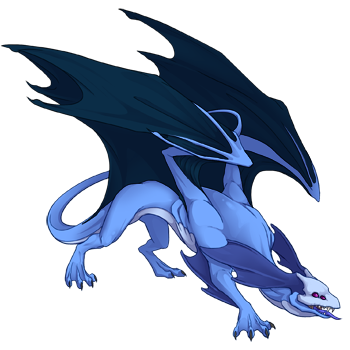 Unnamed dragon