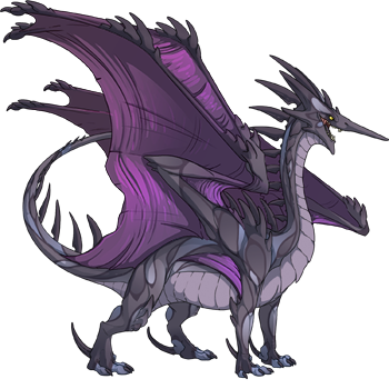 Unnamed dragon