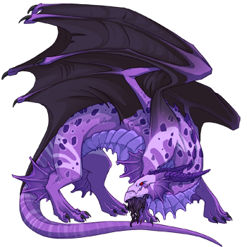 Unnamed dragon