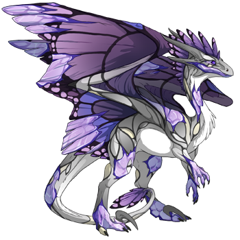 Unnamed dragon