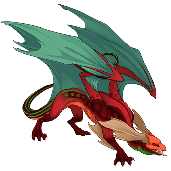 Unnamed dragon