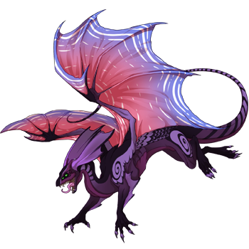 Unnamed dragon