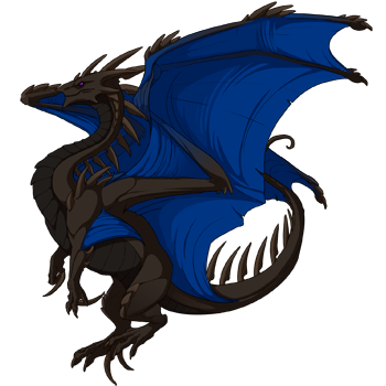 Unnamed dragon