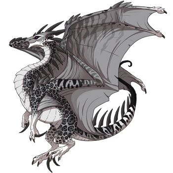 Unnamed dragon