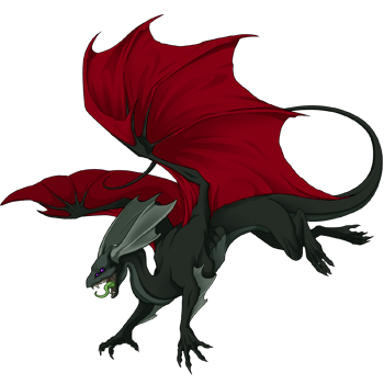 Unnamed dragon